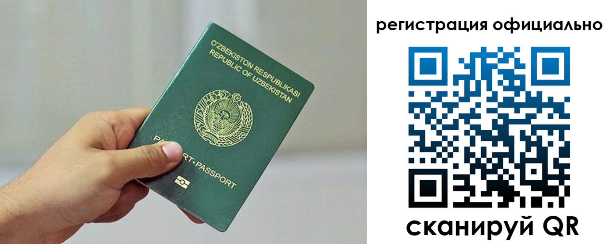 прописка в квартире в Шилке