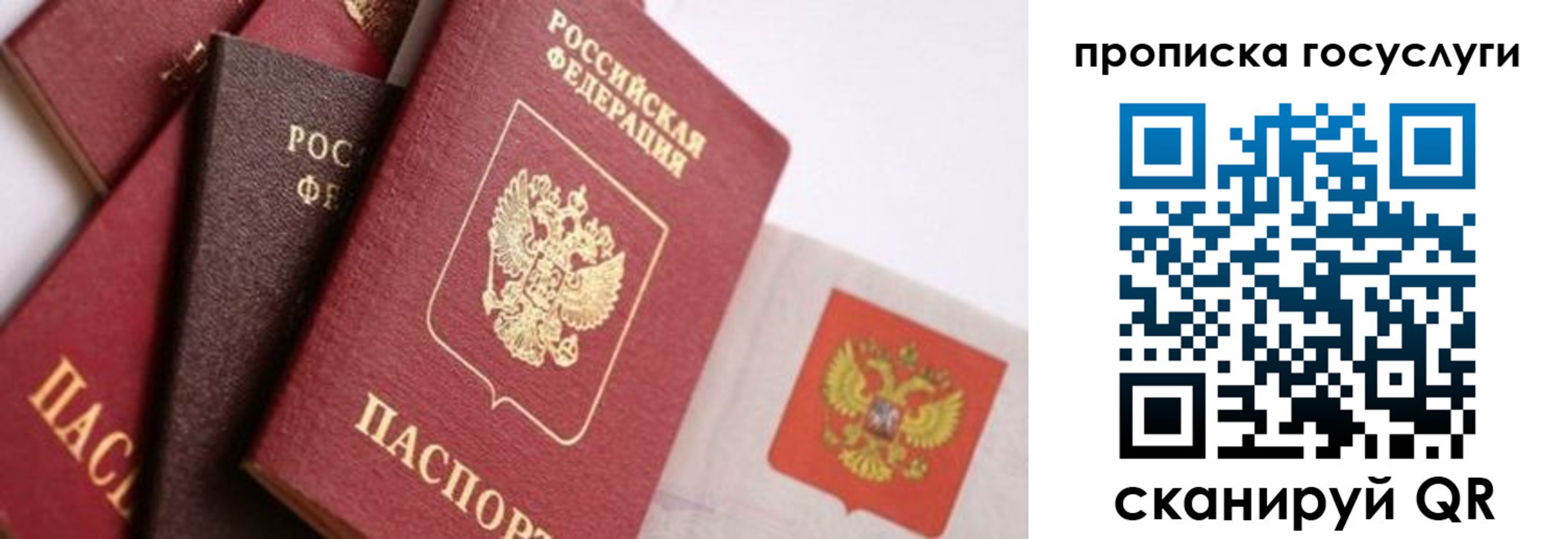 прописка законно в Шилке